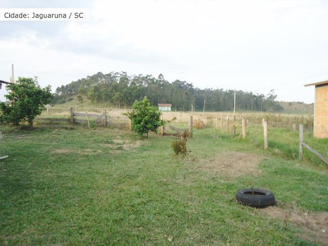 Aluga-se casa e Galpão no Laranjal - Foto 6