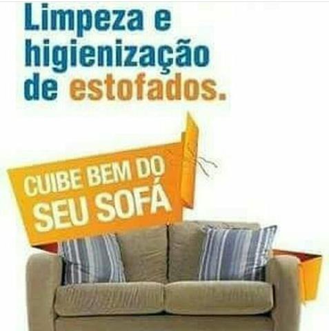Limpeza e proteçao em domicilio - Foto 2