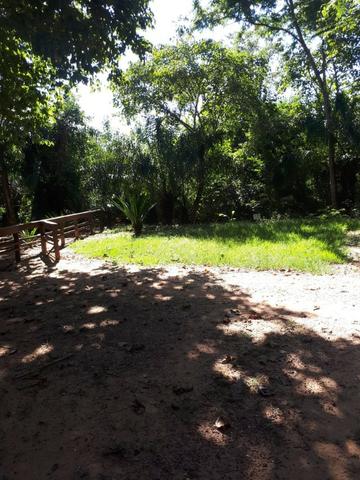 Vendo Terreno na Regiao do Recanto Paiaguas (agende sua visita) - Foto 9