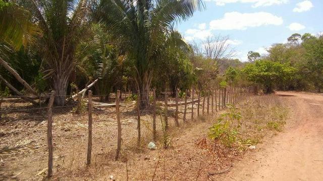 Terreno em nazaria - Foto 5