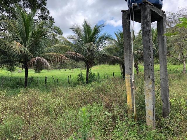 Fazenda Rio Branco - Foto 10