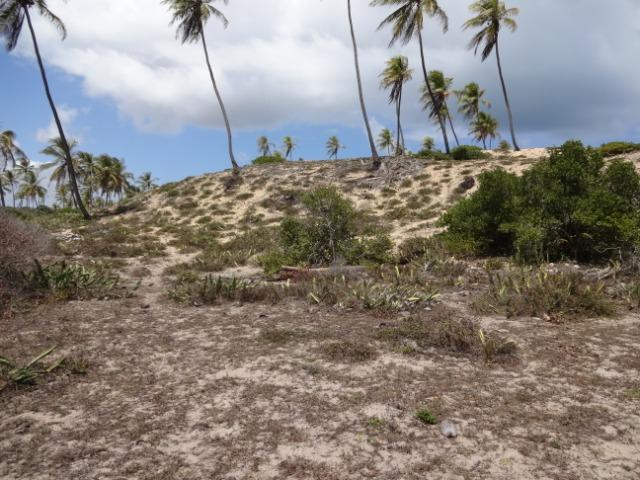 Terreno - Foto 6