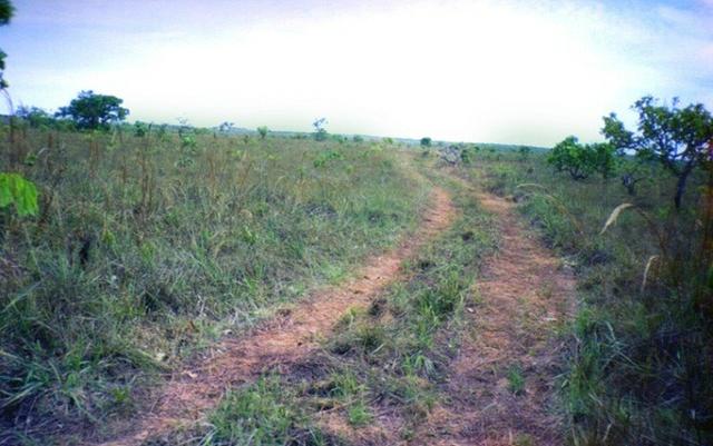 Fazenda 5276 ha N. Brasilandia MT - Foto 3
