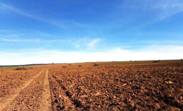 Fazenda 5276 ha N. Brasilandia MT - Foto 2