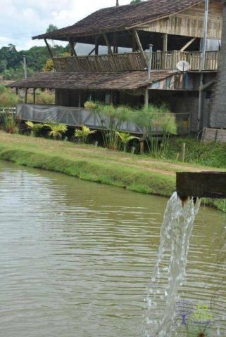 Sítio com 8 dormitórios para venda e locação, 29434 m² por R$ 1.040.000 - Zona Rural - Rod - Foto 4