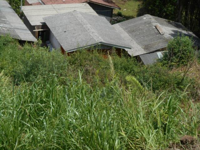 Vendo terreno Cidade Nova II - Foto 3