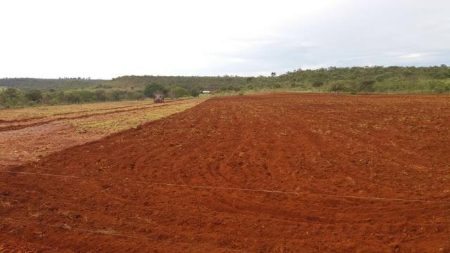 Chácara 6.2 alqueires ( 30 ha ) Águas Lindas-GO 80% permutas - Foto 18