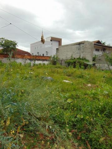 Terreno para alugar em Saguacu, Joinville cod:06691.011 - Foto 7