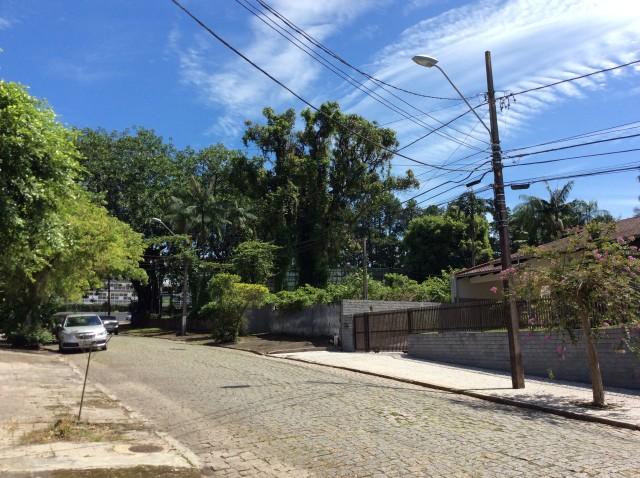 Terreno para alugar em Anita garibaldi, Joinville cod:04301.004 - Foto 2