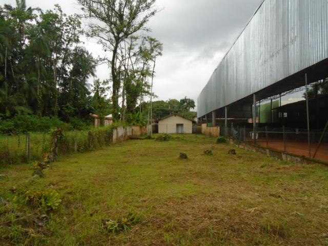 Terreno para alugar em America, Joinville cod:05753.004 - Foto 4