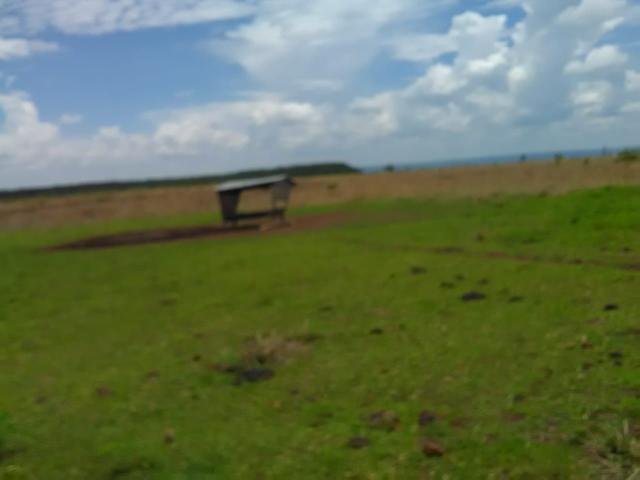 Fazenda em paranatinga - Foto 11