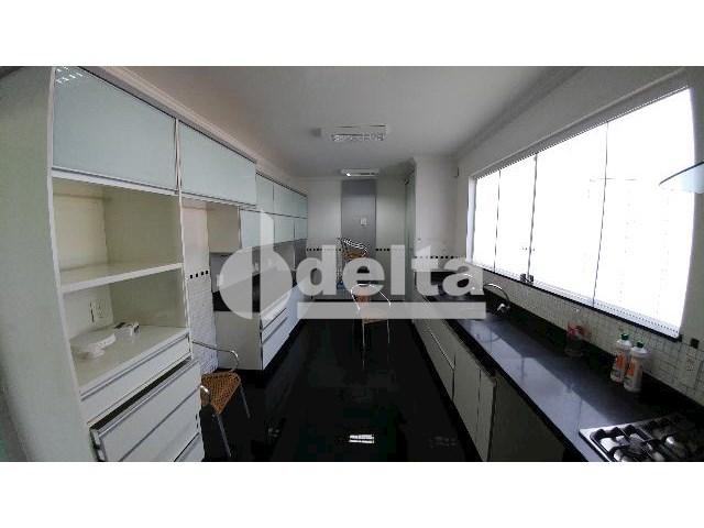 Casa para alugar com 0 dormitórios em Patrimônio, Uberlândia cod:559204 - Foto 15
