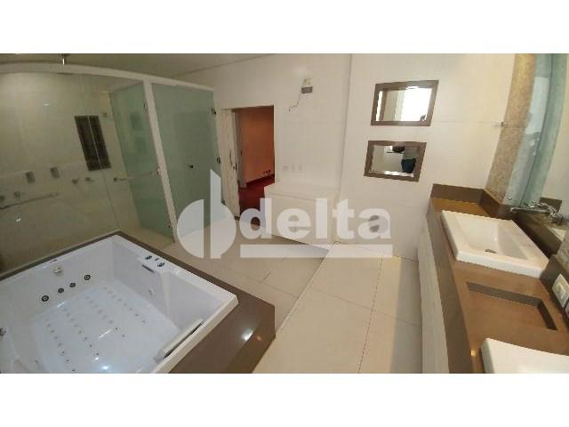 Casa para alugar com 0 dormitórios em Patrimônio, Uberlândia cod:559204 - Foto 20