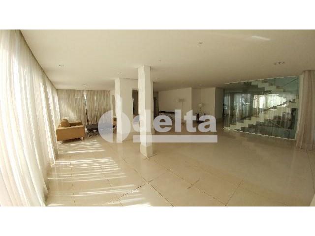 Casa para alugar com 0 dormitórios em Patrimônio, Uberlândia cod:559204 - Foto 11