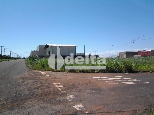 Terreno para alugar em Novo mundo, Uberlândia cod:521607 - Foto 2