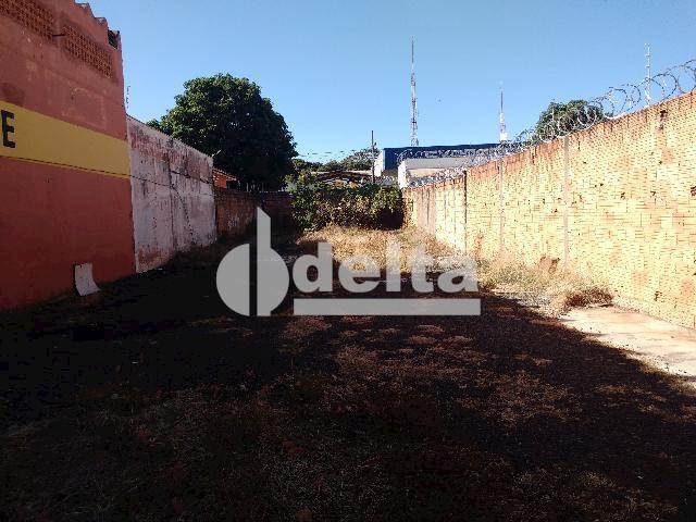 Terreno para alugar com 0 dormitórios em Umuarama, Uberlândia cod:567245 - Foto 3