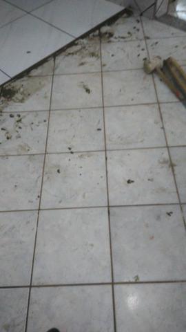 Azulegista - Foto 3