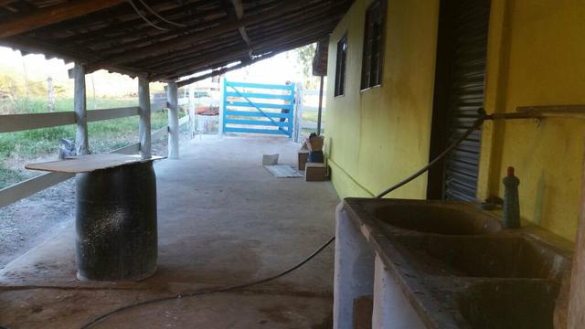 Arrendo 73 há pra Recria em Lagamar! - Foto 9