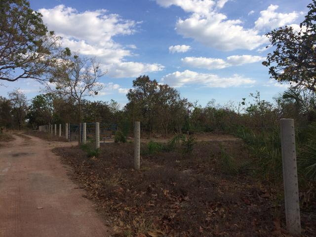 Chácara 4500 m2 no km 33 sentido Palmas/Lajeado - Foto 2