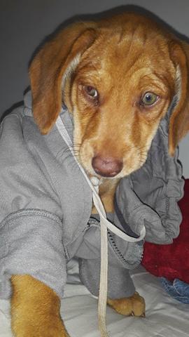 Doa-se - Foto 2