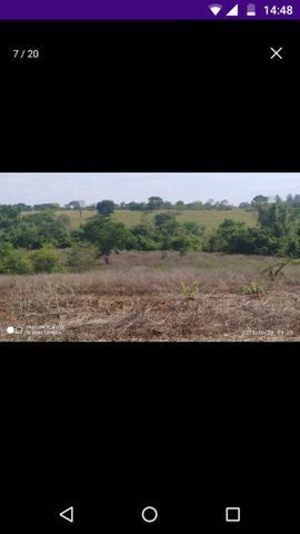 4 alqueires e 12 Litros,Não tem benfeitorias,Plana,Reserva,fica entre Taguaral e taguari - Foto 5
