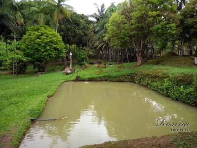 Chácara com 3 dormitórios à venda, 24189 m² por r$ 320.000,00 - rio sagrado - morretes/pr