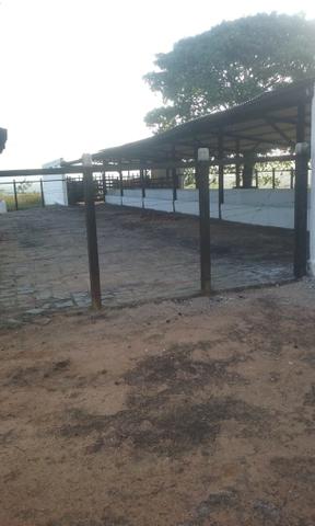 150 Tarefas (50 Hectares) em Garanhuns. Casa-sede Mobiliada - Foto 8