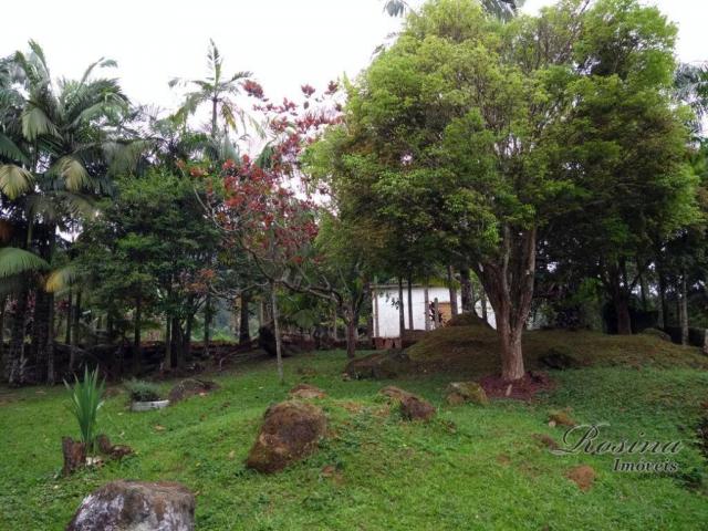 Chácara com 3 dormitórios à venda, 24189 m² por r$ 320.000,00 - rio sagrado - morretes/pr - Foto 10