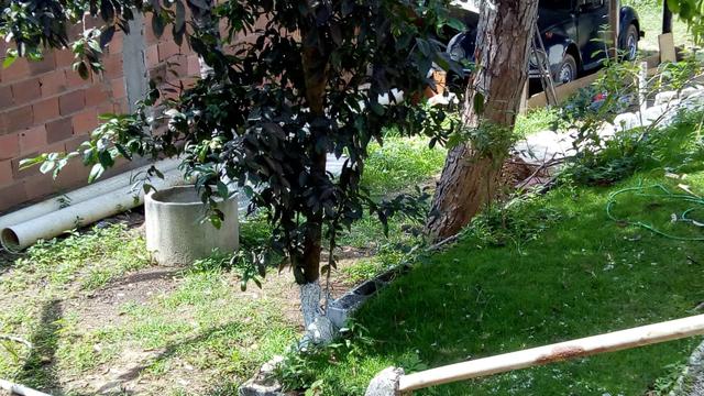 Casa independente quarto grande sala ampla cozinha arejada ótimo banheiro varanda área - Foto 6