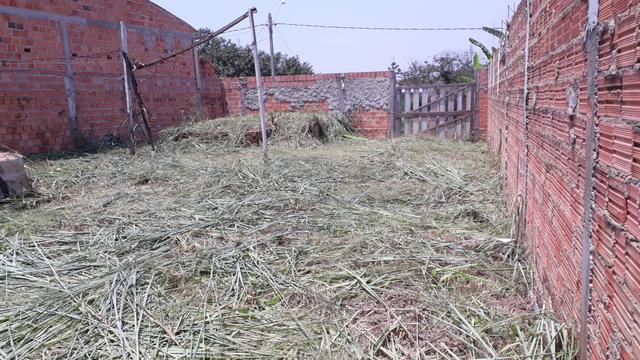 Terreno - Foto 6