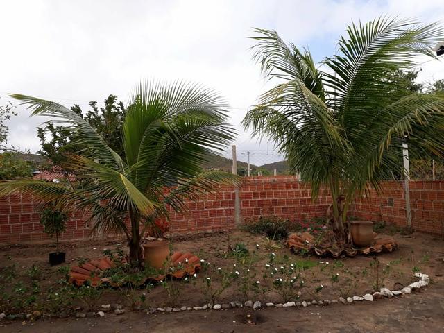 Sitio em Jacobina - Foto 4
