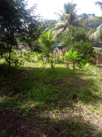 Venda - Foto 2