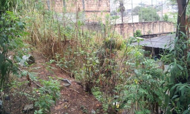 Loteamento/condomínio à venda em Caiçaras, Belo horizonte cod:11023 - Foto 3