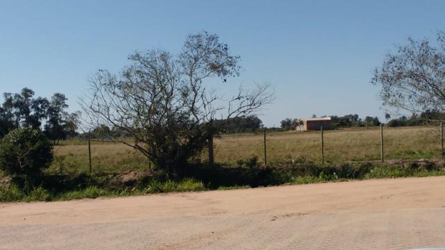 Àrea na BR116 em Camaquã RS - Foto 7