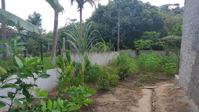 Venda - Foto 5
