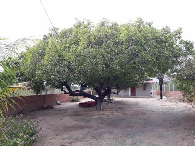 Sitio em Jacobina - Foto 2