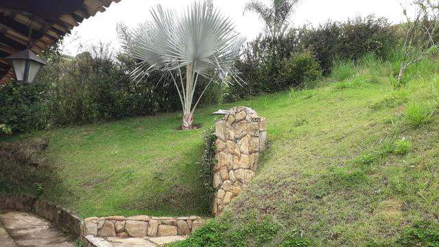Vendo granja - Foto 4