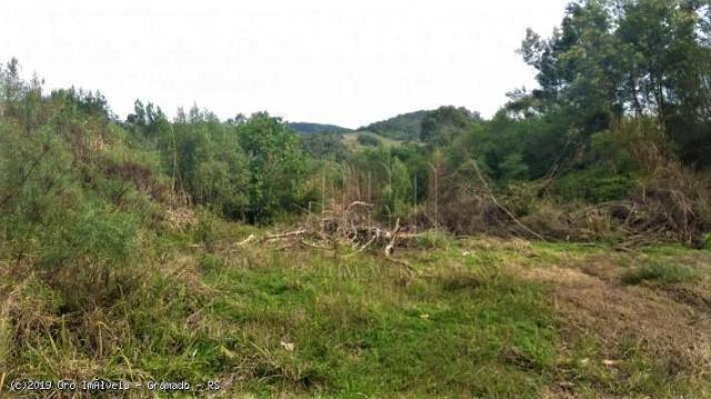 Sítio à venda, 10000 m² por r$ 424.000,00 - linha bonita - gramado/rs - Foto 3
