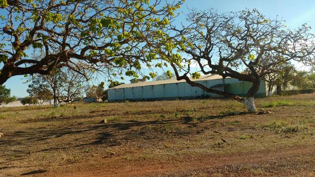 Galpão em area de 22.000,00 m² toda murada com guarita Proximo Br dos Imigrantes - Foto 6