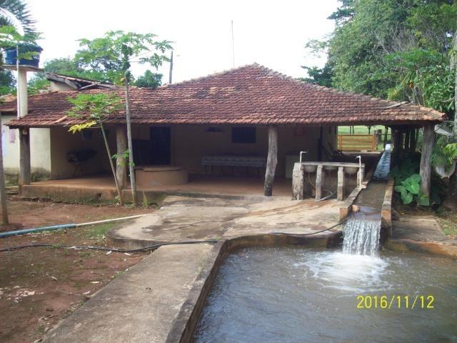 Chácara em Anicuns, 2 Alqueires e 37 Litros de Pura Beleza e Encantamento, Rica em Água - Foto 5