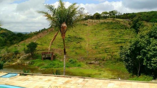 Sítio excelente de 6 hectares, com água mineral, a 8 km de Gravatá-PE - Foto 5