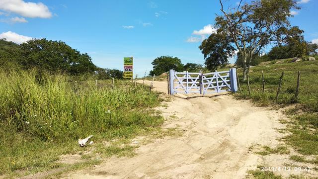 Vendo 64 h na PE 87 a 4 km do centro de Gravatá PE - Foto 19