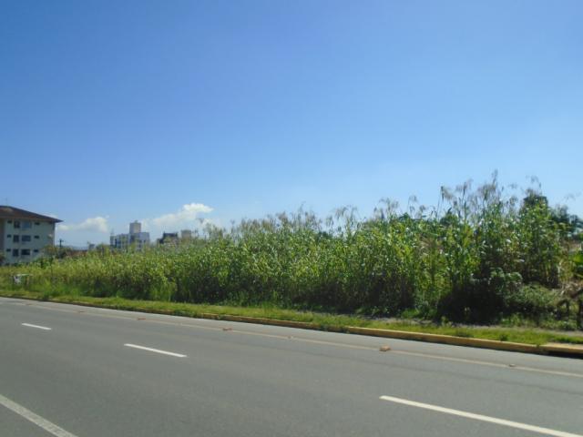 Terreno para alugar em America, Joinville cod:08039.001 - Foto 3