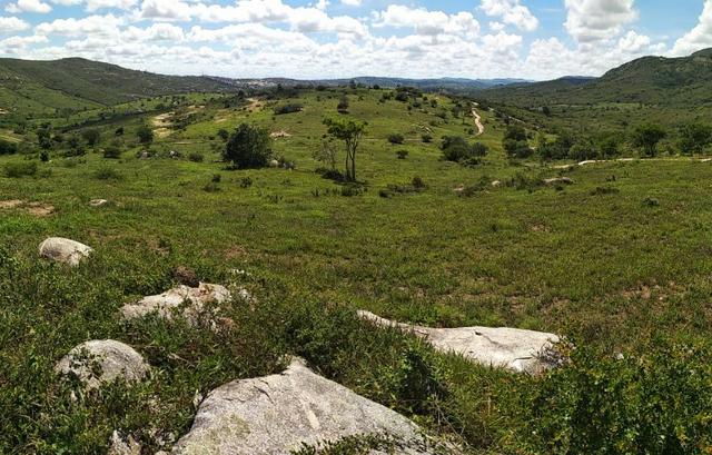 Vendo 64 h na PE 87 a 4 km do centro de Gravatá PE - Foto 10