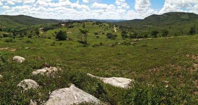 Vendo 64 h na PE 87 a 4 km do centro de Gravatá PE - Foto 7