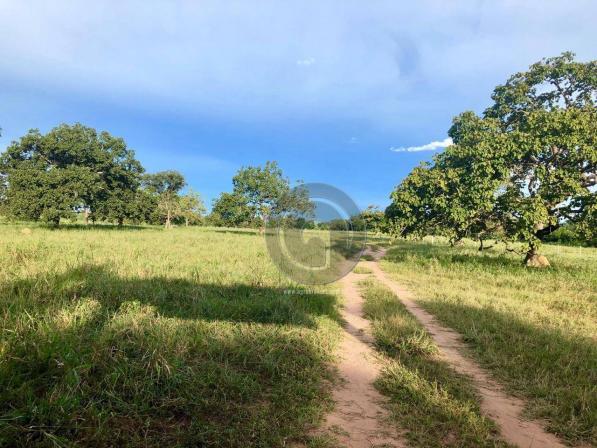 Sítio em santo antônio do leverger - Foto 3
