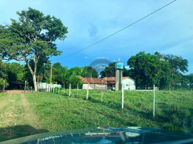 Sítio em santo antônio do leverger - Foto 4