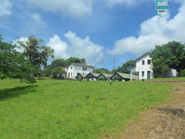 Ilhéus. Fazenda de 200 Hectares, produtora de cacau com toda infraestrutura. - Foto 4