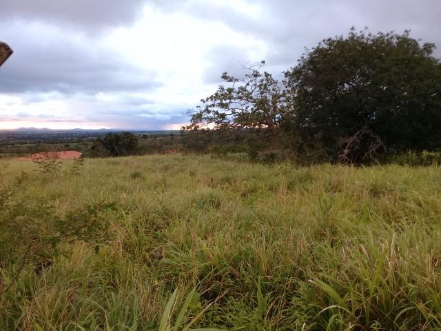 Excelente sítio, com casa sede e casa de caseiro na região de Santo Estevão Bahia - Foto 11