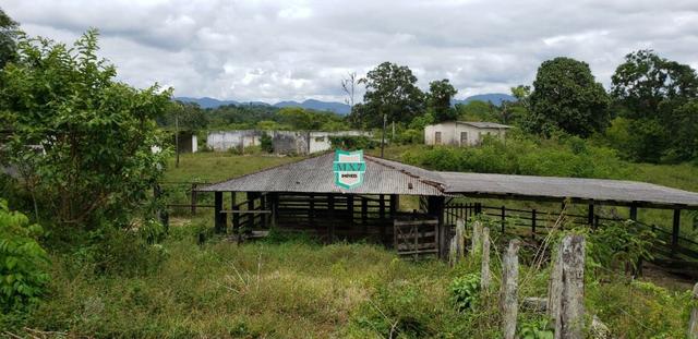 Camacan. Fazenda de Cacau com 430 Hectares. Rica em água - Foto 19